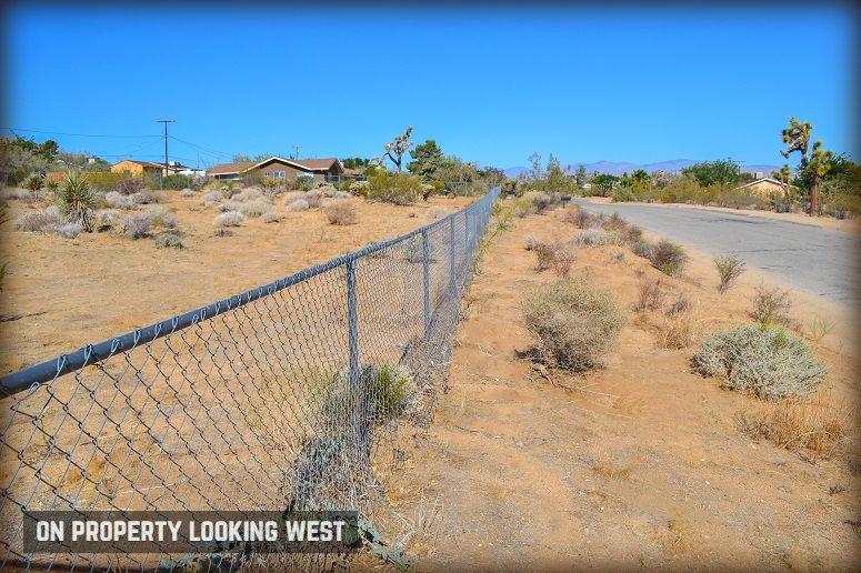 Latham Trail