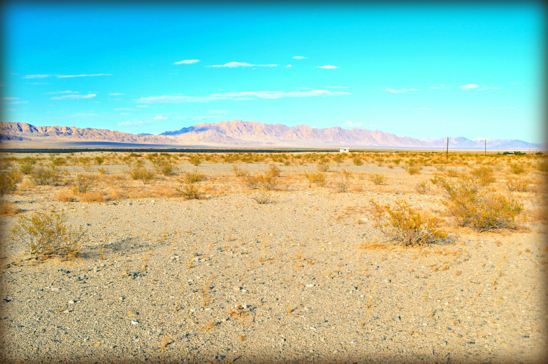Wonder Valley Night Sky Desert Cabin