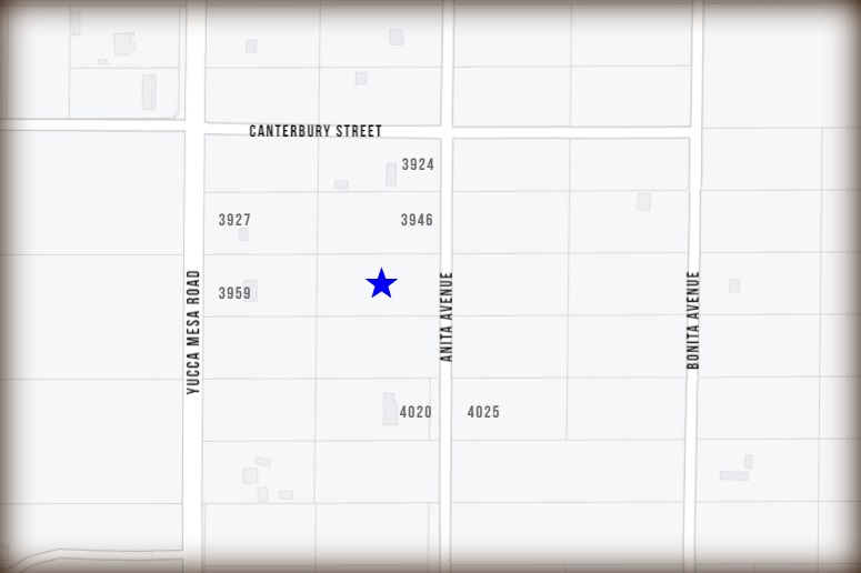 Anita Avenue