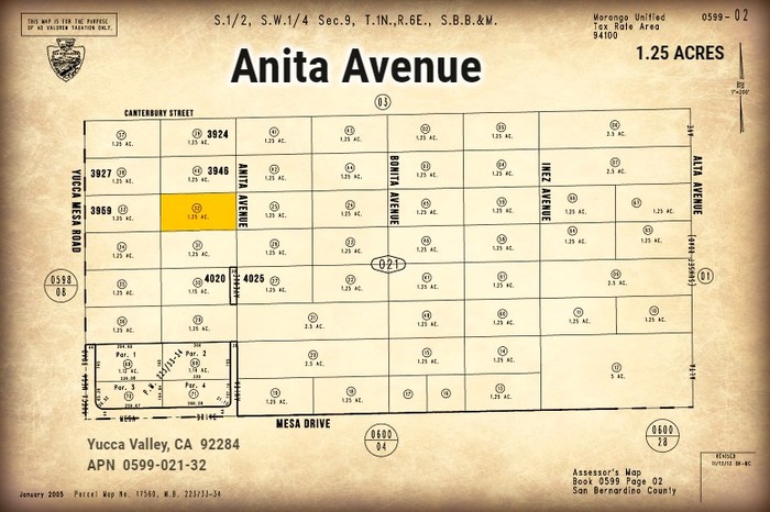 Anita Avenue