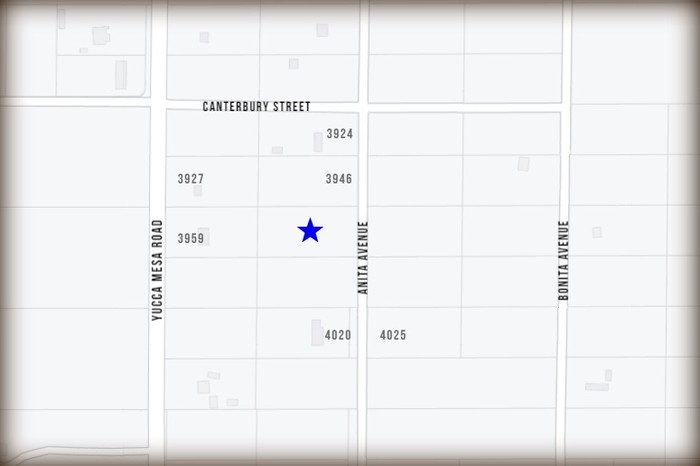 Anita Avenue