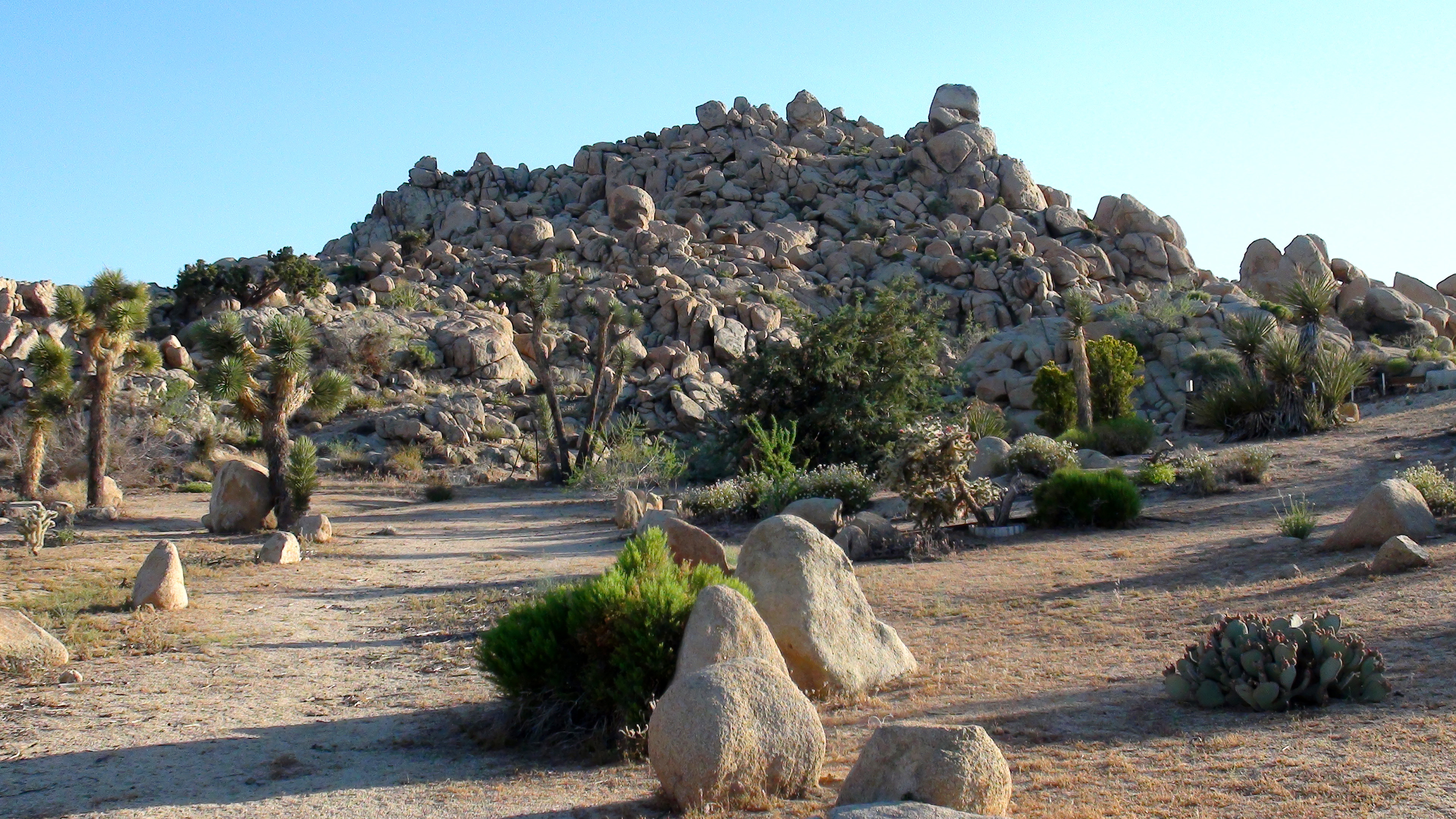 Yucca Valley Raw Land For Sale