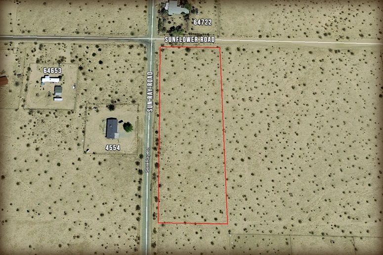 Sunflower Road