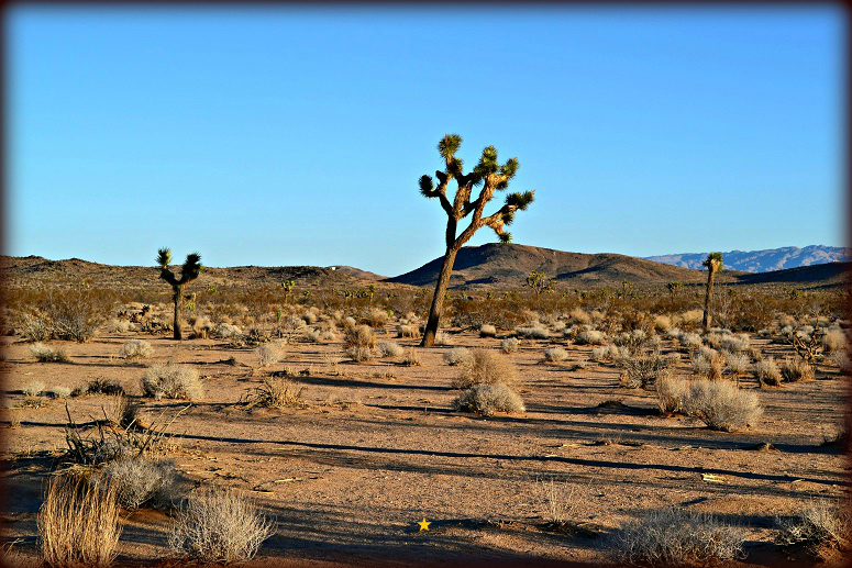 Residential land Yucca Valley