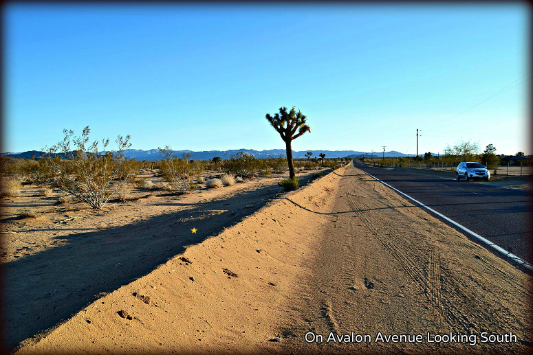 Avalon Avenue
