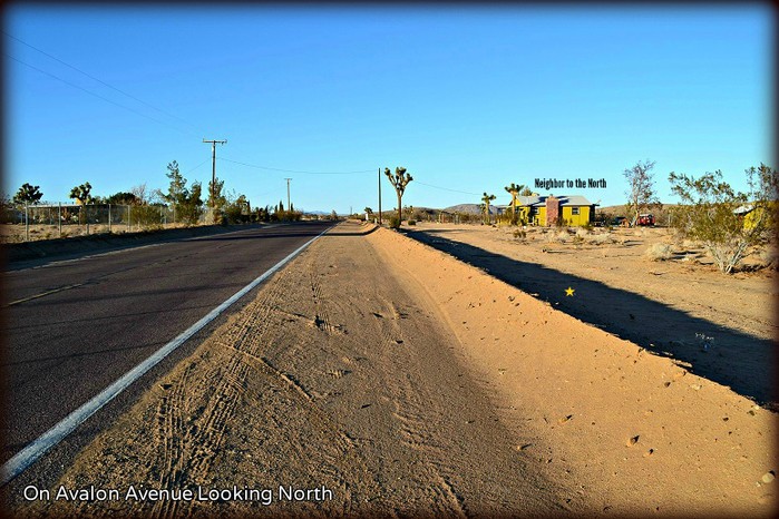 Avalon Avenue