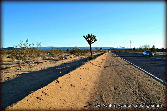 Avalon Avenue