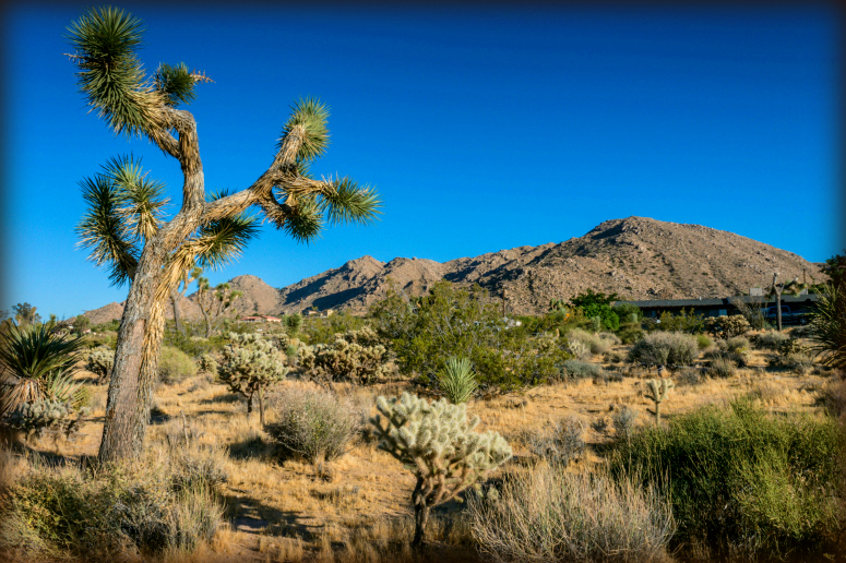 Pueblo Trail