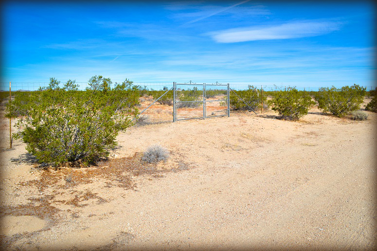 Joshua Tree Land For Sale