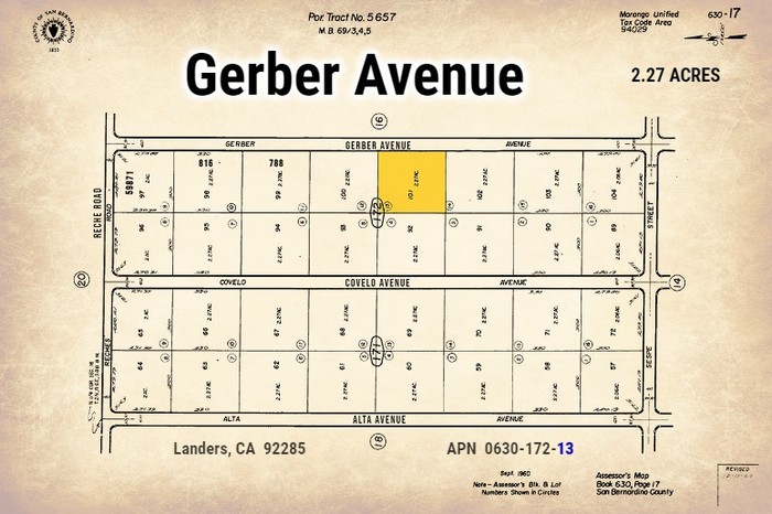 Gerber Avenue #1