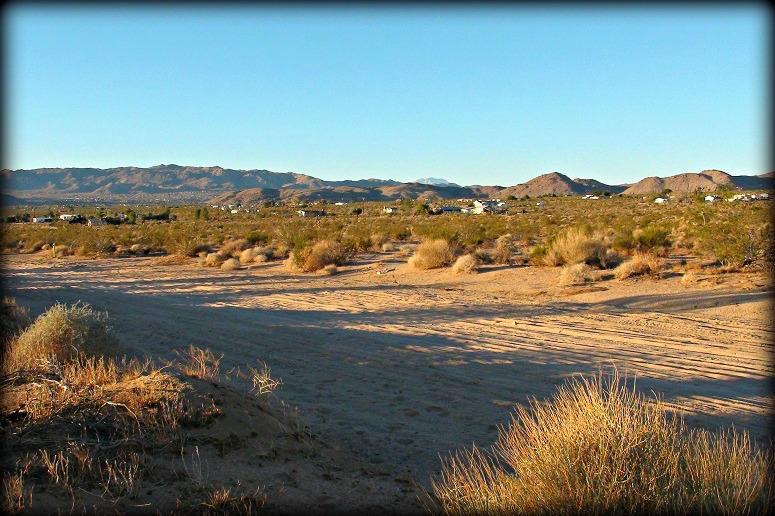 Joshua Tree Raw Land For Sale