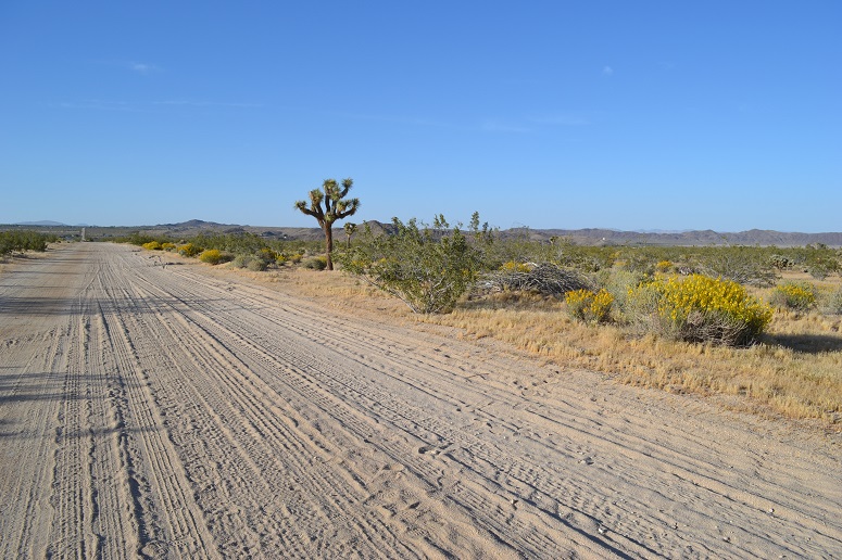Joshua Tree Residential Land For Sale