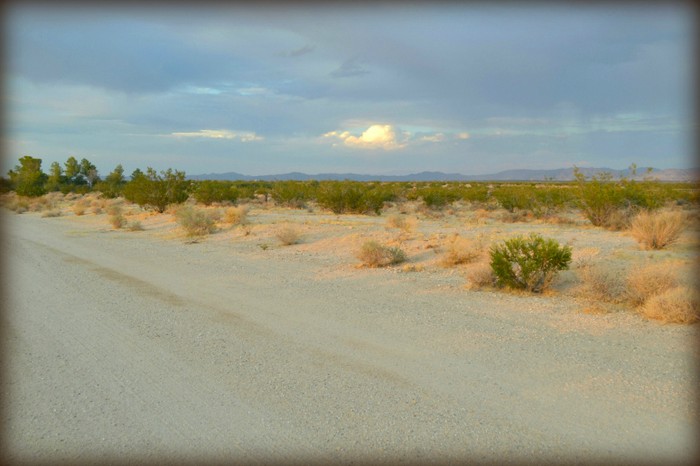 Moonlight Mesa Street