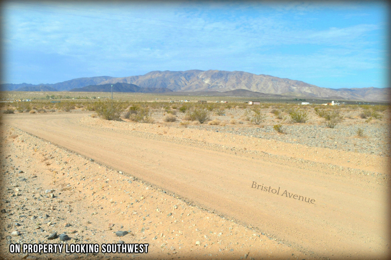 Bristol Avenue