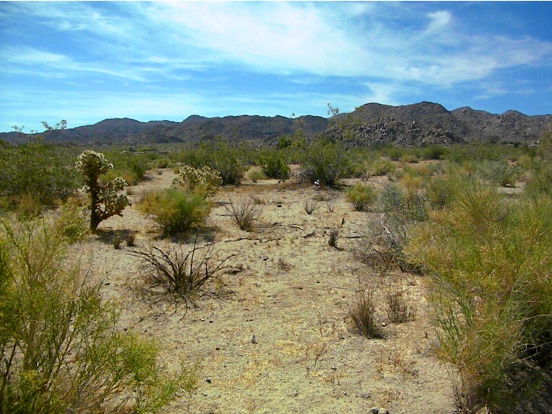Cascade Road