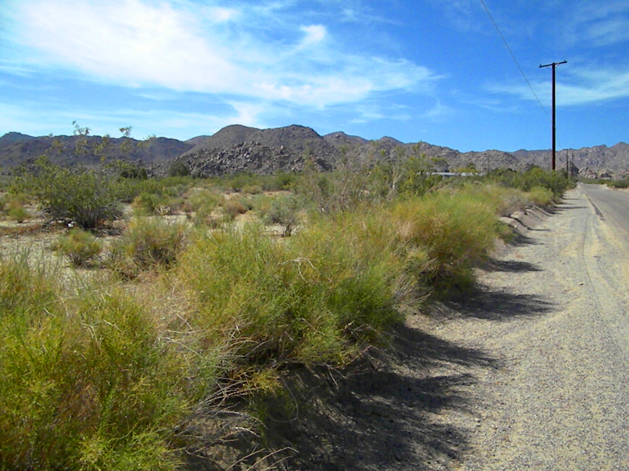 Cascade Road