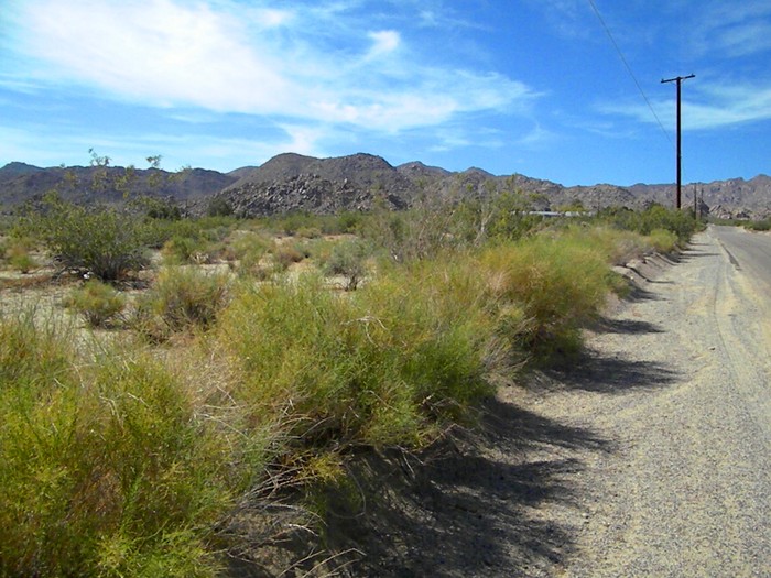 Cascade Road