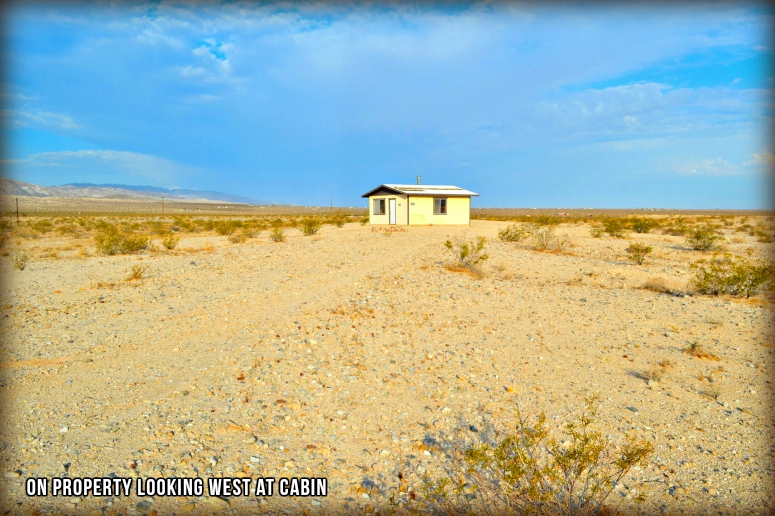 Wonder Valley Cabin