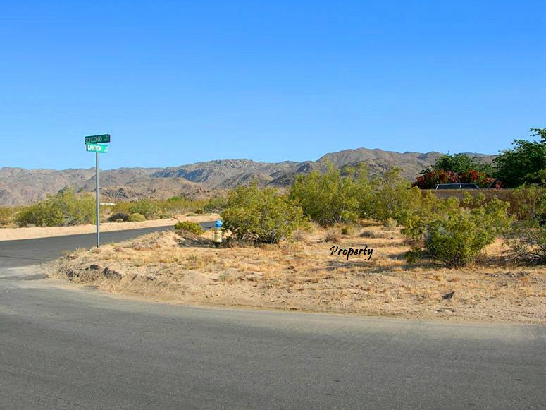 Canyon Road