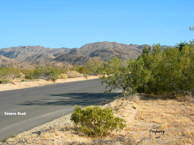 Canyon Road