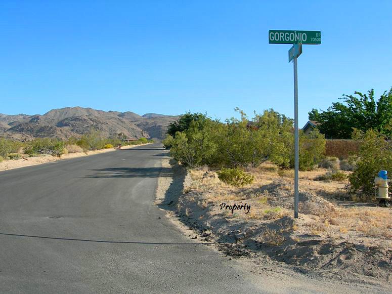 Canyon Road