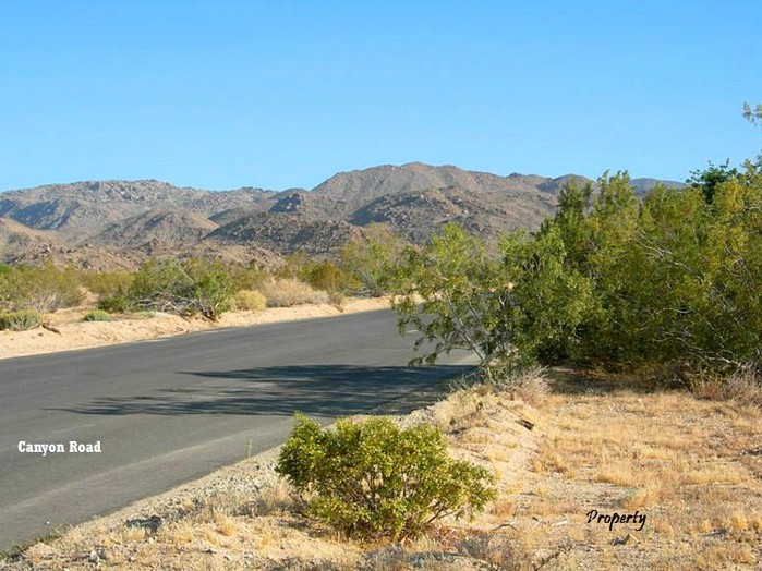 Canyon Road