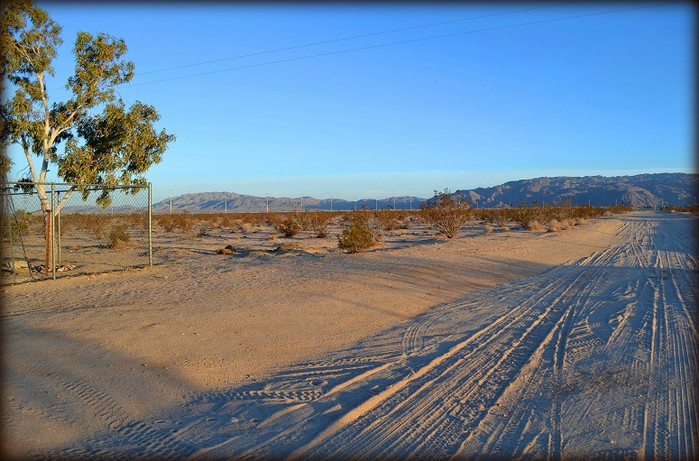 Toga Avenue