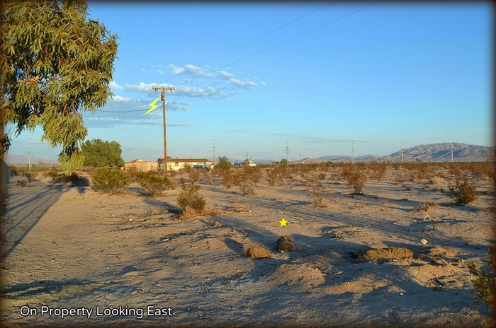 Toga Avenue