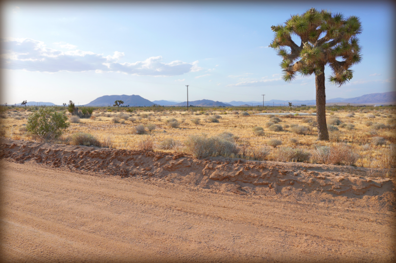 Landers Acreage For Sale