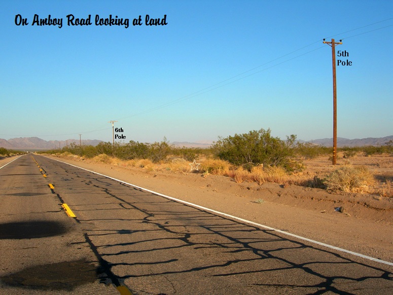 Amboy Road #5