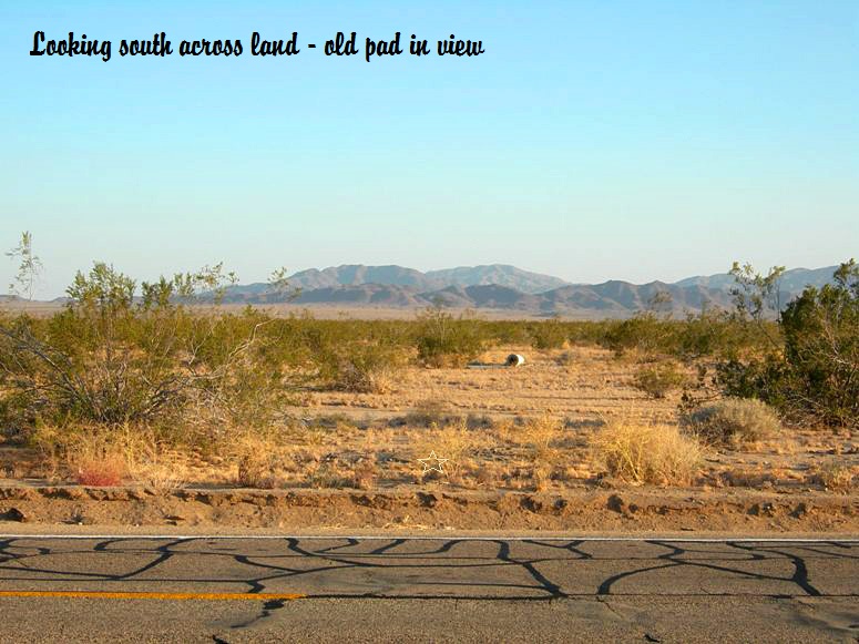 Amboy Road #5