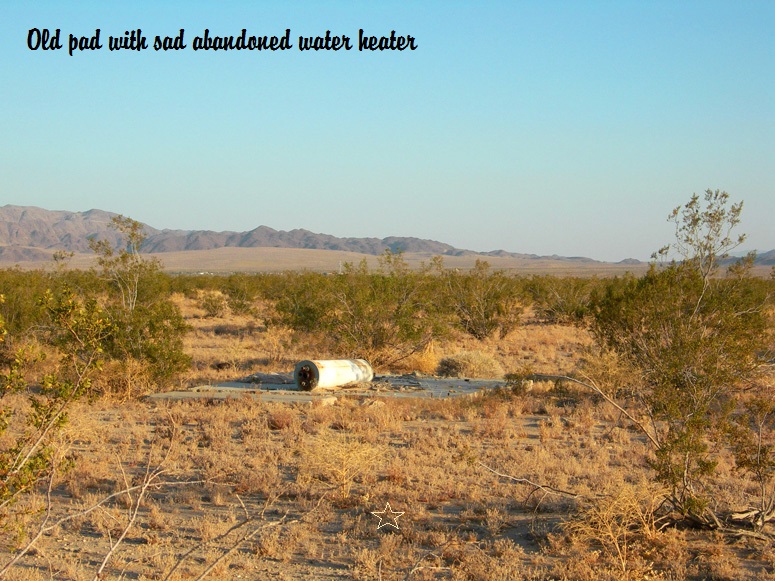 Amboy Road #5