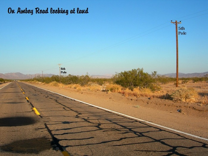 Amboy Road #5