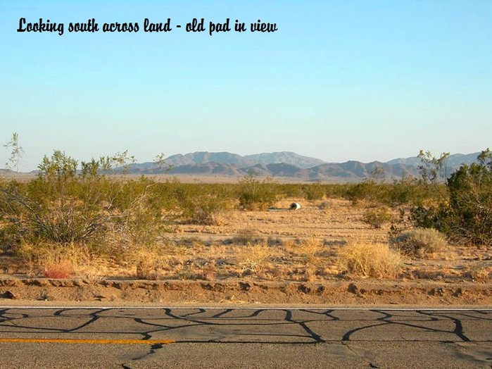 Amboy Road #5