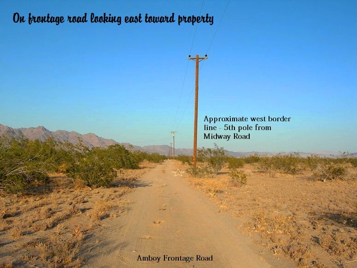 Amboy Road #5
