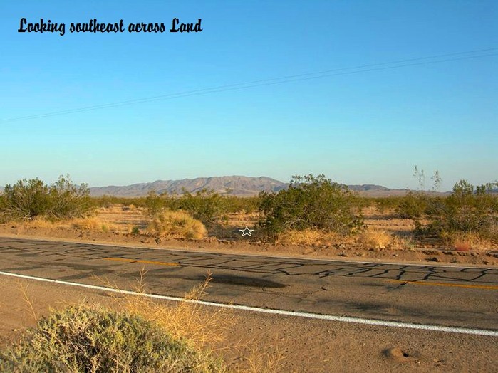 Amboy Road #5