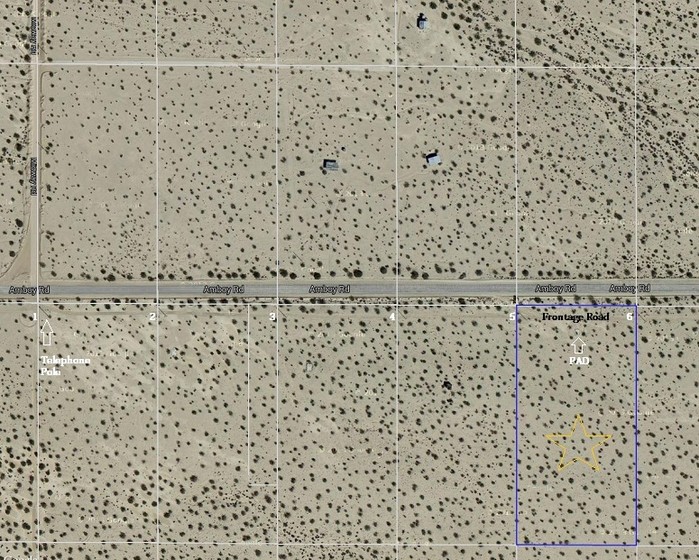 Amboy Road #5