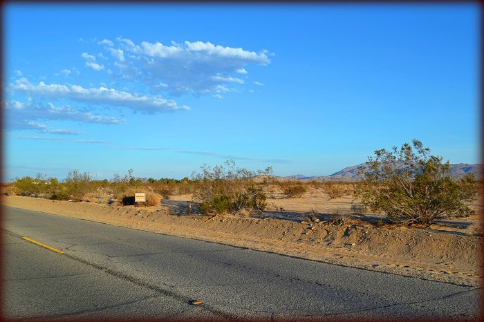 Lazy Joe Avenue