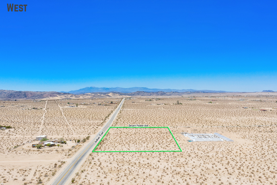 Desert Flower Ave