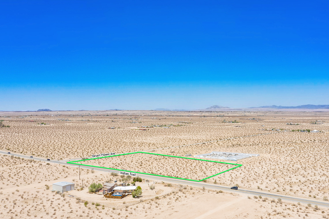 Desert Flower Ave