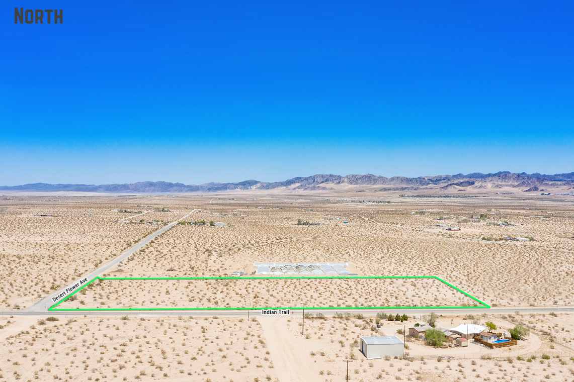 Desert Flower Ave