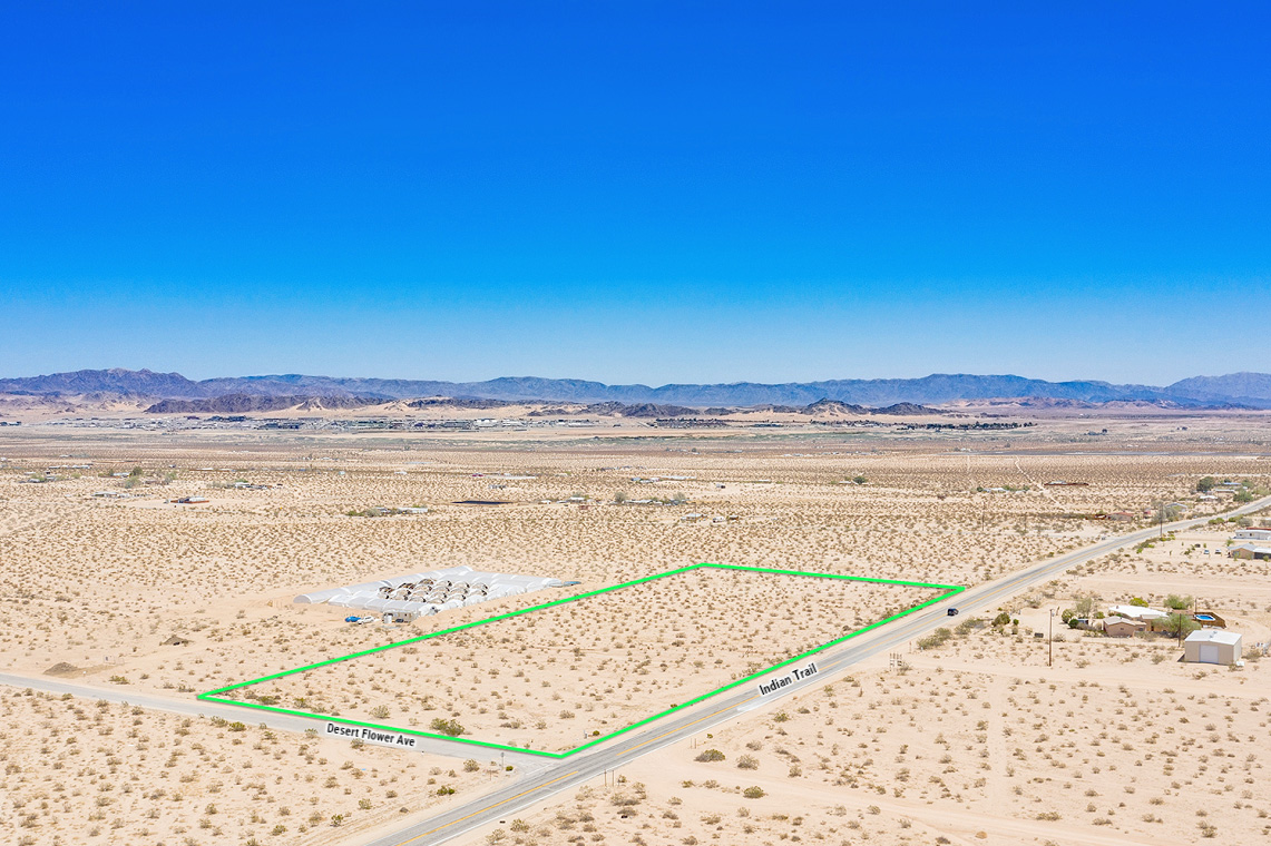 Desert Flower Ave