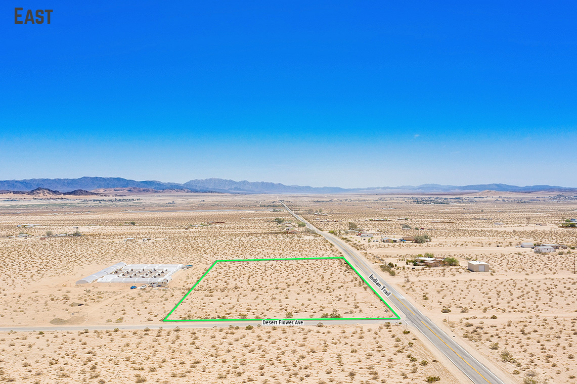 Desert Flower Ave
