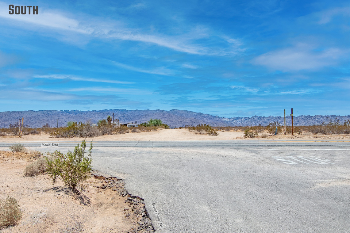 Desert Flower Ave
