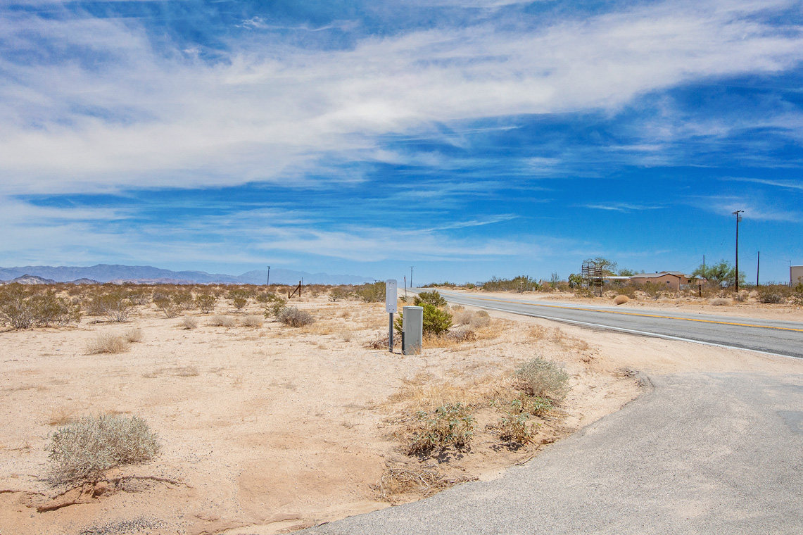 Desert Flower Ave