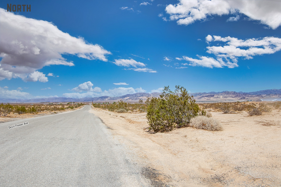 Desert Flower Ave