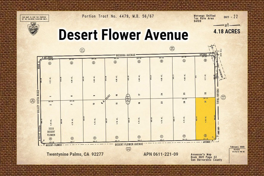 Desert Flower Ave