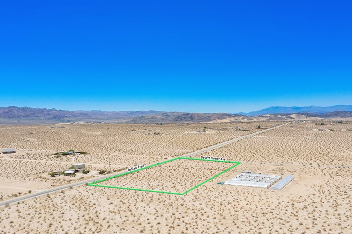 Desert Flower Ave