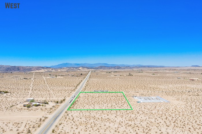 Desert Flower Ave