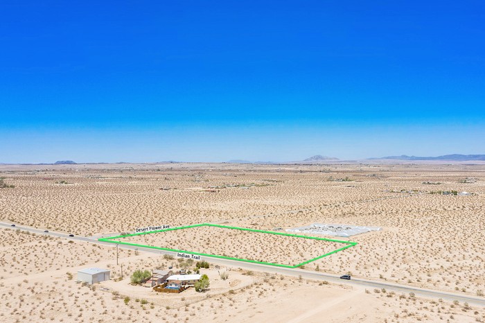Desert Flower Ave